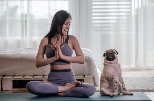 Find Harmony with Puppy Yoga